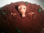 Maulwurfkuchen - Rezept
