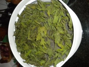 Rezept: Küchenkräuter Küchenkräuter - Rezept