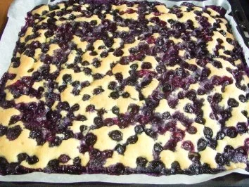 Rezept: Mein Blaubeer-Kuchen Bild Nr. 3 Mein Blaubeer-Kuchen - Rezept - Bild Nr. 3