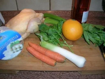 Maispoularde mit Mascarpone Sauce an lauwarmen Fenchelsalat - Rezept - Bild Nr. 3