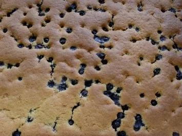 Rezept: Obstkuchen vom Blech Bild Nr. 3 Obstkuchen vom Blech - Rezept - Bild Nr. 3