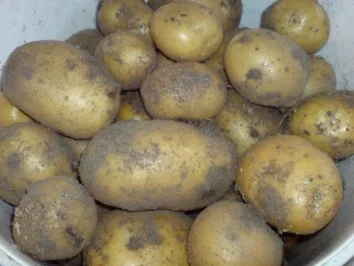 Hachfleischbällchen in Erbsen-Möhren-Soße - Rezept - Bild Nr. 3