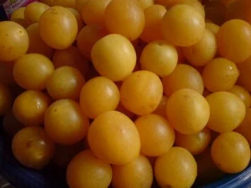 Rezept: Frischkäse-Torte mal mit und mal ohne Johannisbeeren Bild Nr. 12 Frischkäse-Torte mal mit und mal ohne Johannisbeeren - Rezept - Bild Nr. 12