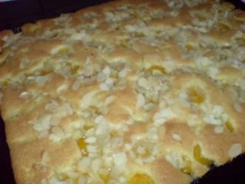 Rezept: Frischkäse-Torte mal mit und mal ohne Johannisbeeren Bild Nr. 18 Frischkäse-Torte mal mit und mal ohne Johannisbeeren - Rezept - Bild Nr. 18