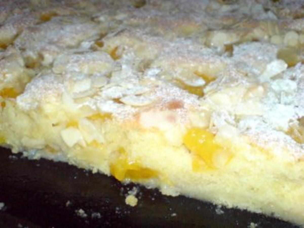 Frischkäse-Torte mal mit und mal ohne Johannisbeeren - Rezept - Bild Nr. 21