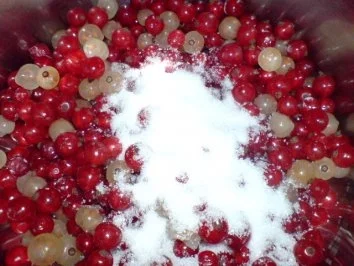 Johannisbeer-Pudding-Torte - Rezept - Bild Nr. 10