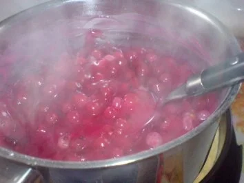 Johannisbeer-Pudding-Torte - Rezept - Bild Nr. 12