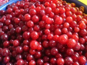 Johannisbeer-Pudding-Torte - Rezept - Bild Nr. 4