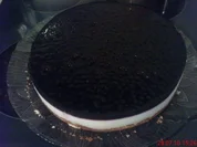 Joghurt-Quark-Waldheidelbeer Torte - Rezept