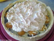 Mohnkuchen mit Aprikosen - Rezept