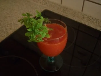 Tomatensauce teuflisch - exotisch - Rezept - Bild Nr. 3