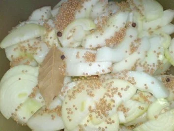 Schnelle Senfgurken - Rezept - Bild Nr. 7