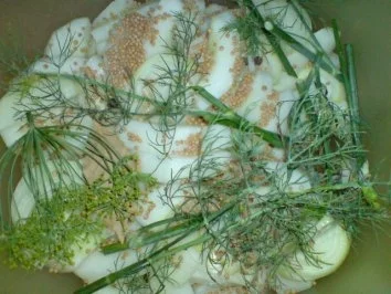 Schnelle Senfgurken - Rezept - Bild Nr. 8