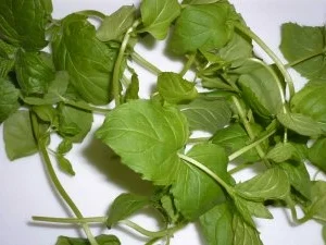 Rezept: Eiskalte Erfrischung Bild Nr. 6 Eiskalte Erfrischung - Rezept - Bild Nr. 6