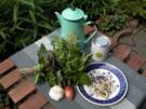 Basilikumpesto - Rezept