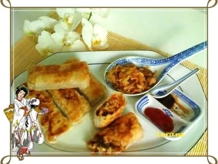 Asiatisch - Frühlingsrollen mit Hähnchenfleisch und Glasnudeln - Rezept