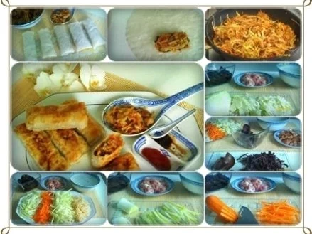 Asiatisch - Frühlingsrollen mit Hähnchenfleisch und Glasnudeln - Rezept - Bild Nr. 24