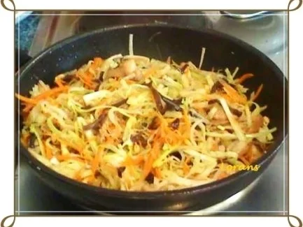 Asiatisch - Frühlingsrollen mit Hähnchenfleisch und Glasnudeln - Rezept - Bild Nr. 15