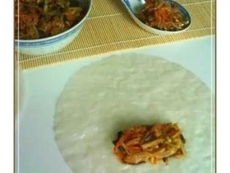 Asiatisch - Frühlingsrollen mit Hähnchenfleisch und Glasnudeln - Rezept - Bild Nr. 17