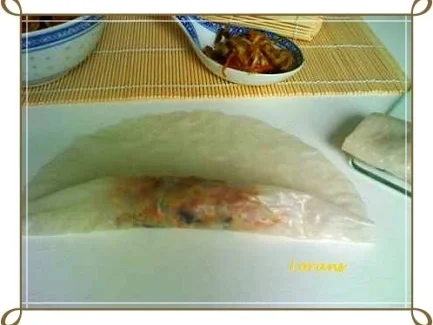 Asiatisch - Frühlingsrollen mit Hähnchenfleisch und Glasnudeln - Rezept - Bild Nr. 18