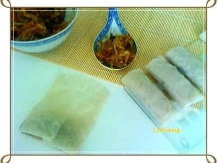 Asiatisch - Frühlingsrollen mit Hähnchenfleisch und Glasnudeln - Rezept - Bild Nr. 19