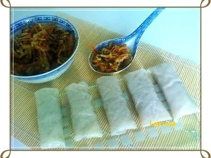Asiatisch - Frühlingsrollen mit Hähnchenfleisch und Glasnudeln - Rezept - Bild Nr. 21