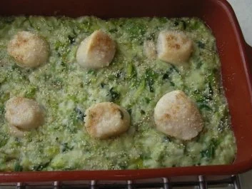 Jakobsmuscheln auf Sahnelauch - Rezept