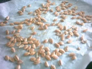 Rezept: Geröstete Kürbiskerne Geröstete Kürbiskerne - Rezept