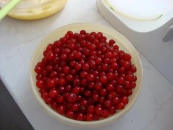 Rezept: Ribiselschnitten Bild Nr. 6 Ribiselschnitten - Rezept - Bild Nr. 6
