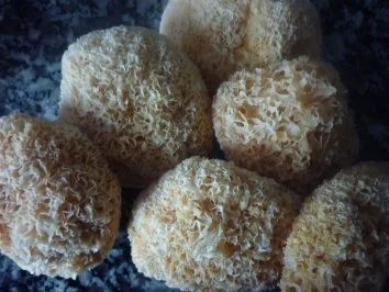 Färsengulasch mit Bärentatzen in Cidre-Calvadossauce an ital. Nudeln - Rezept - Bild Nr. 4