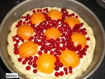 Sommerkuchen - Rezept - Bild Nr. 6