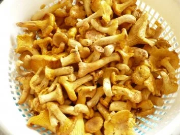 Pfifferlinge mit Schweinefilet - Rezept - Bild Nr. 3