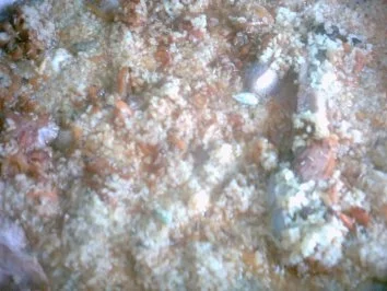 Pute mit  Bulgur aus dem Ofen - Rezept - Bild Nr. 7