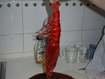 Rezept: Melonen-Gazpacho mit Carabineros und Basilikum-Popcorn Melonen-Gazpacho mit Carabineros und Basilikum-Popcorn - Rezept