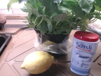 Rezept: Pefferminztee Bild Nr. 2 Pefferminztee - Rezept - Bild Nr. 2