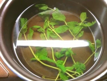 Rezept: Pefferminztee Bild Nr. 3 Pefferminztee - Rezept - Bild Nr. 3