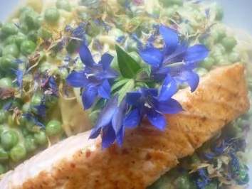 Spaghetti an Erbsen in Orangenrahm mit Lachs - Rezept - Bild Nr. 2