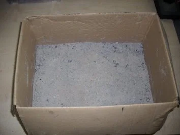 Schinken in Buchenasche gereift - Rezept - Bild Nr. 2