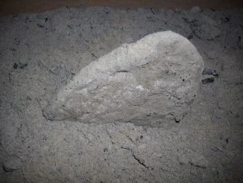 Schinken in Buchenasche gereift - Rezept - Bild Nr. 3