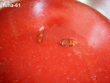 Rezept: ERDBEEREIS AN SCHARFEM COULIS Bild Nr. 9 ERDBEEREIS AN SCHARFEM COULIS - Rezept - Bild Nr. 9