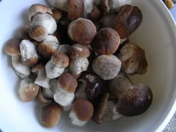 Kapplersuppe aus Oma Schatzkästchen - Rezept