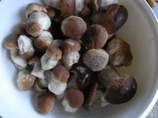 Kapplersuppe aus Oma Schatzkästchen - Rezept