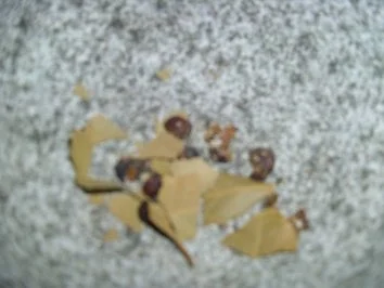 Rezept: Putenkeule auf rheinische Art! Die 1. !! Bild Nr. 5 Putenkeule auf rheinische Art! Die 1. !! - Rezept - Bild Nr. 5