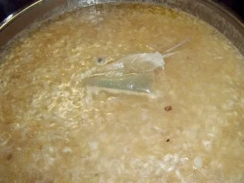 Rezept: Pilzrisotto mit Aiguillettes de Canard Bild Nr. 5 Pilzrisotto mit Aiguillettes de Canard - Rezept - Bild Nr. 5