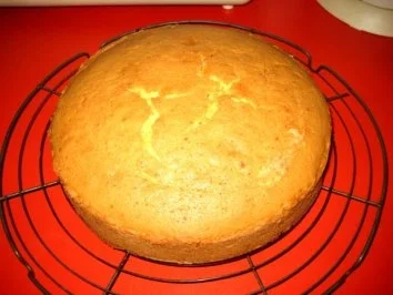 Rumkuchen karibisch - Rezept - Bild Nr. 7