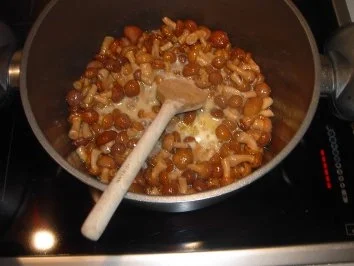 Stockschwämmchensauce - Rezept - Bild Nr. 3