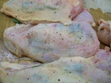 Estragon-Maispoularde zu Edelpilzravioli an einer Beurre blanc - Rezept - Bild Nr. 8