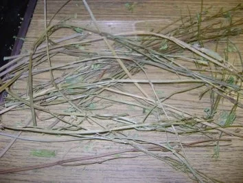 Sommerzeit - Erntezeit - Rezept - Bild Nr. 3