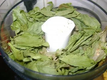 Sommerzeit - Erntezeit - Rezept - Bild Nr. 4