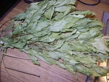 Sommerzeit - Erntezeit - Rezept - Bild Nr. 2